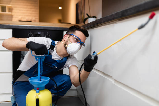 Best Commercial Pest Control Services  in Mount Arlington, NJ