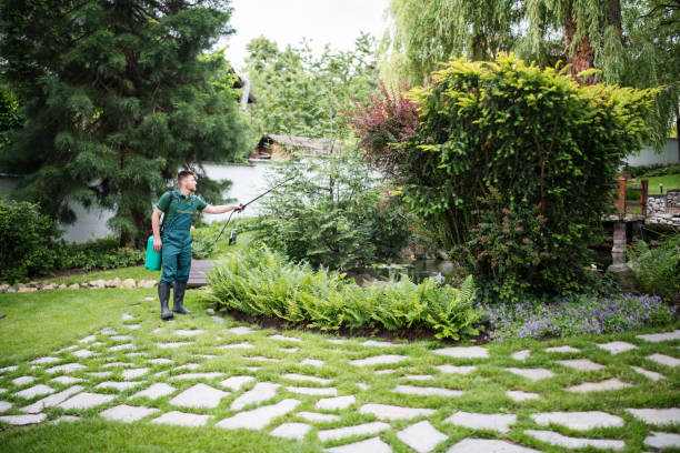 Reliable Mount Arlington, NJ Pest Control Solutions