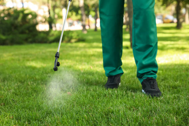 Best Pest Prevention Services  in Mount Arlington, NJ