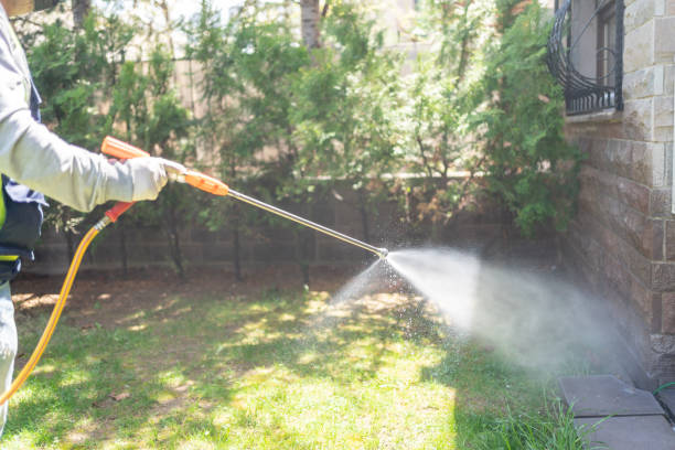 Best Residential Pest Control  in Mount Arlington, NJ