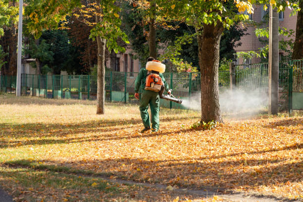 Best Commercial Pest Control Services  in Mount Arlington, NJ