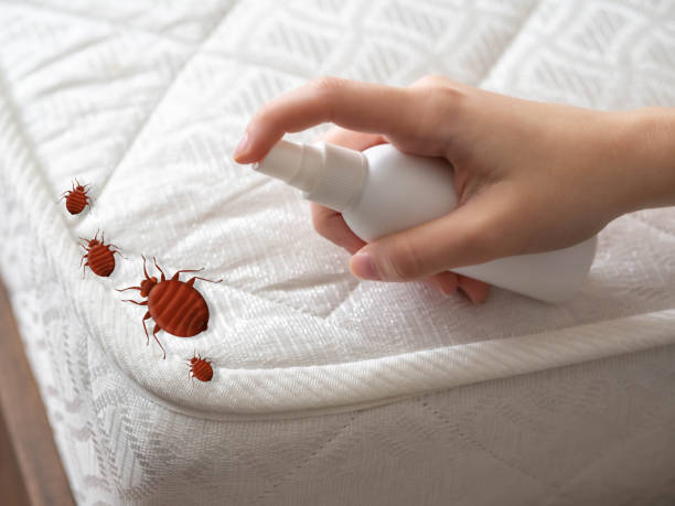 Best Best Pest Control Companies  in Mount Arlington, NJ